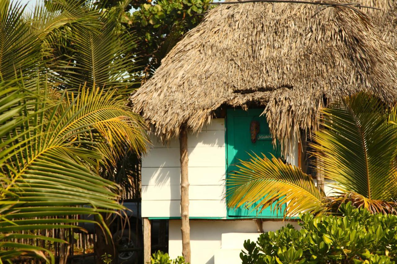 Cocori Lodge Paredon El Paredón Buena Vista Zewnętrze zdjęcie