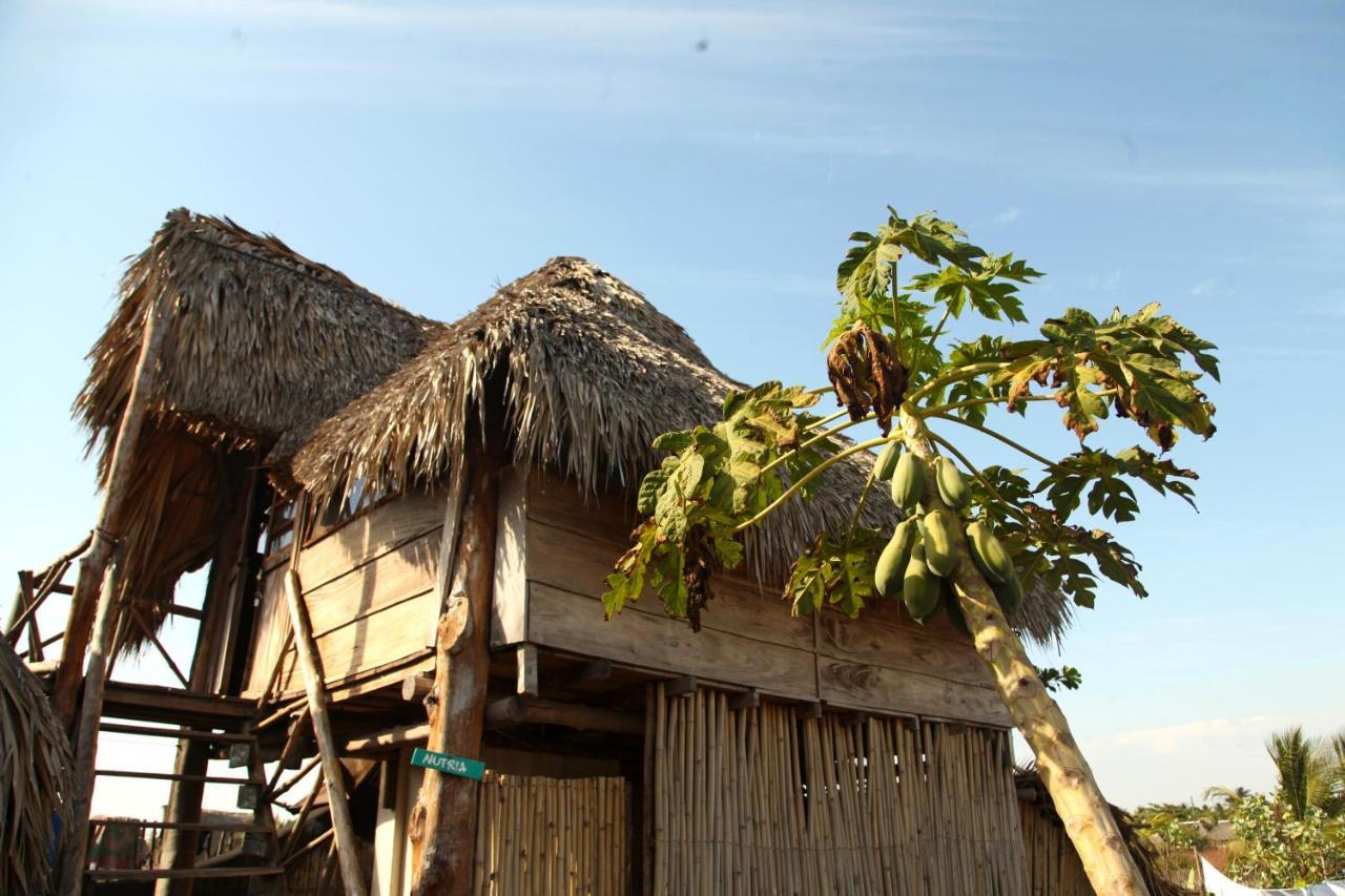 Cocori Lodge Paredon El Paredón Buena Vista Zewnętrze zdjęcie