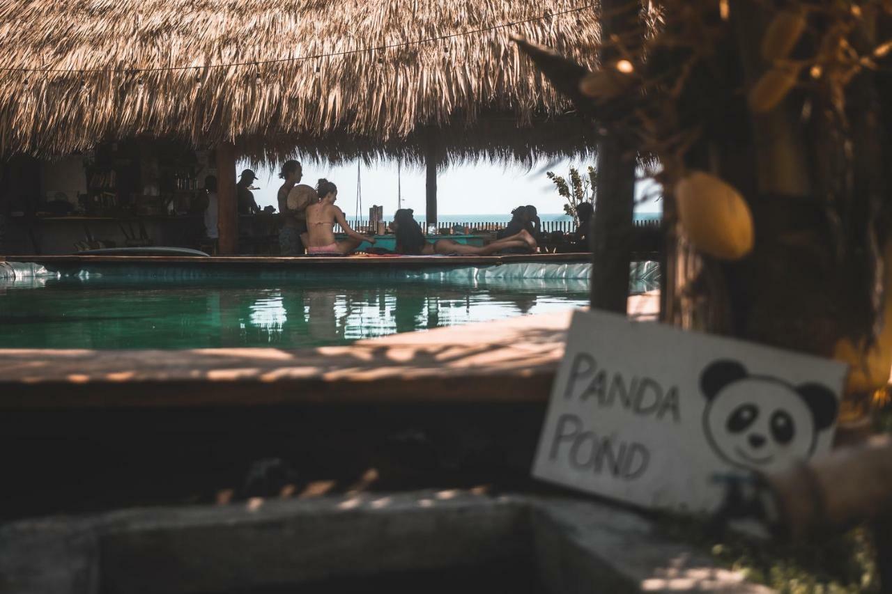 Cocori Lodge Paredon El Paredón Buena Vista Zewnętrze zdjęcie